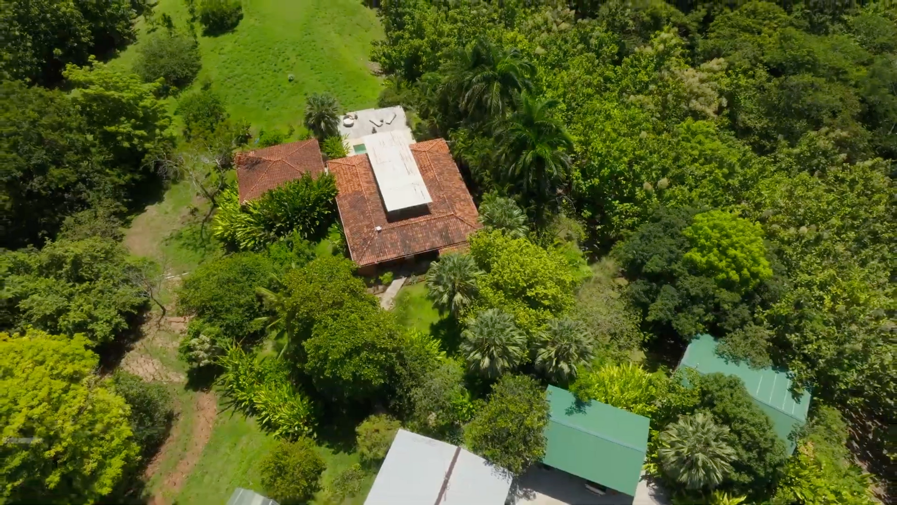 Organic Farm With Multiple Residences, San Isidro, San Isidro, Santa Teresa, Cobano, Puntarenas, Puntarenas, Costa Rica 60111