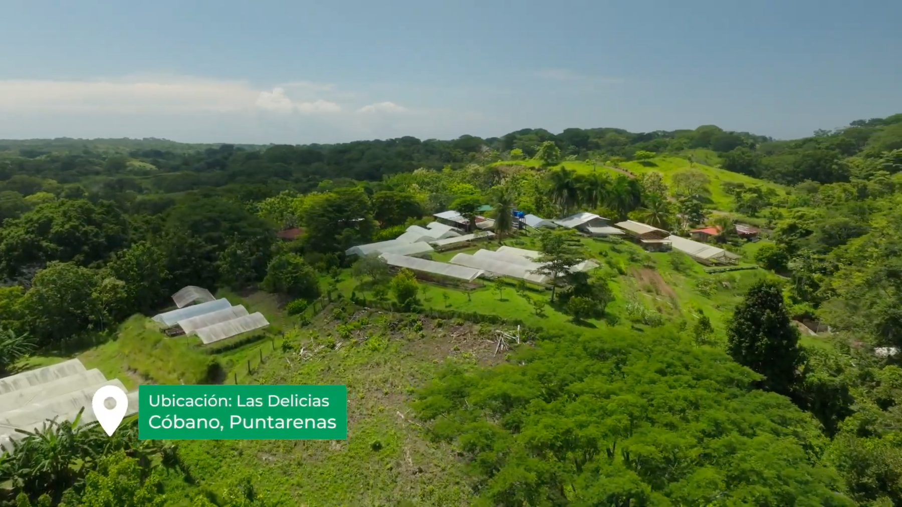 Organic Farm With Multiple Residences, San Isidro, San Isidro, Santa Teresa, Cobano, Puntarenas, Puntarenas, Costa Rica 60111