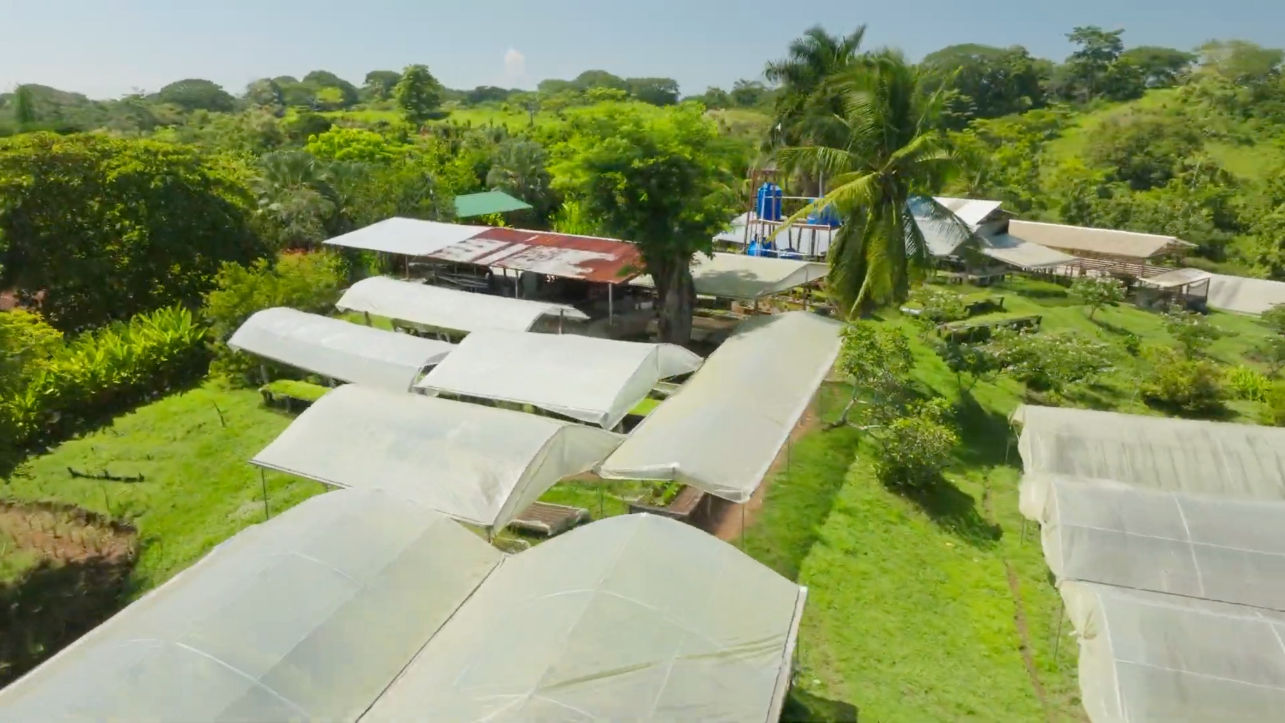Organic Farm With Multiple Residences, San Isidro, San Isidro, Santa Teresa, Cobano, Puntarenas, Puntarenas, Costa Rica 60111