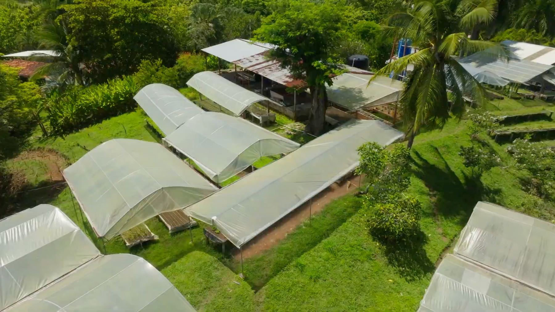 Organic Farm With Multiple Residences, San Isidro, San Isidro, Santa Teresa, Cobano, Puntarenas, Puntarenas, Costa Rica 60111