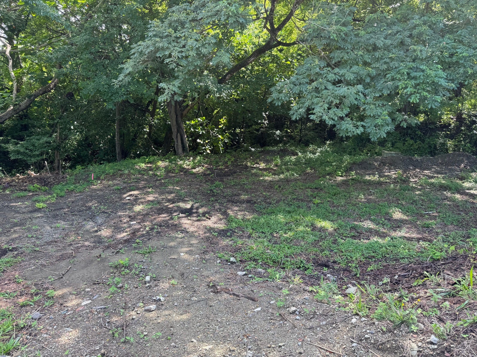Commercial and Residential Land Close to the Beach, Santiago, Santiago, Santa Teresa, Cobano, Puntarenas, Puntarenas, Costa Rica 60111 Commercial and Residential Land Close to the Beach, Santiago, Santiago, Santa Teresa, Cobano, Puntarenas, Puntarenas, Costa Rica 60111