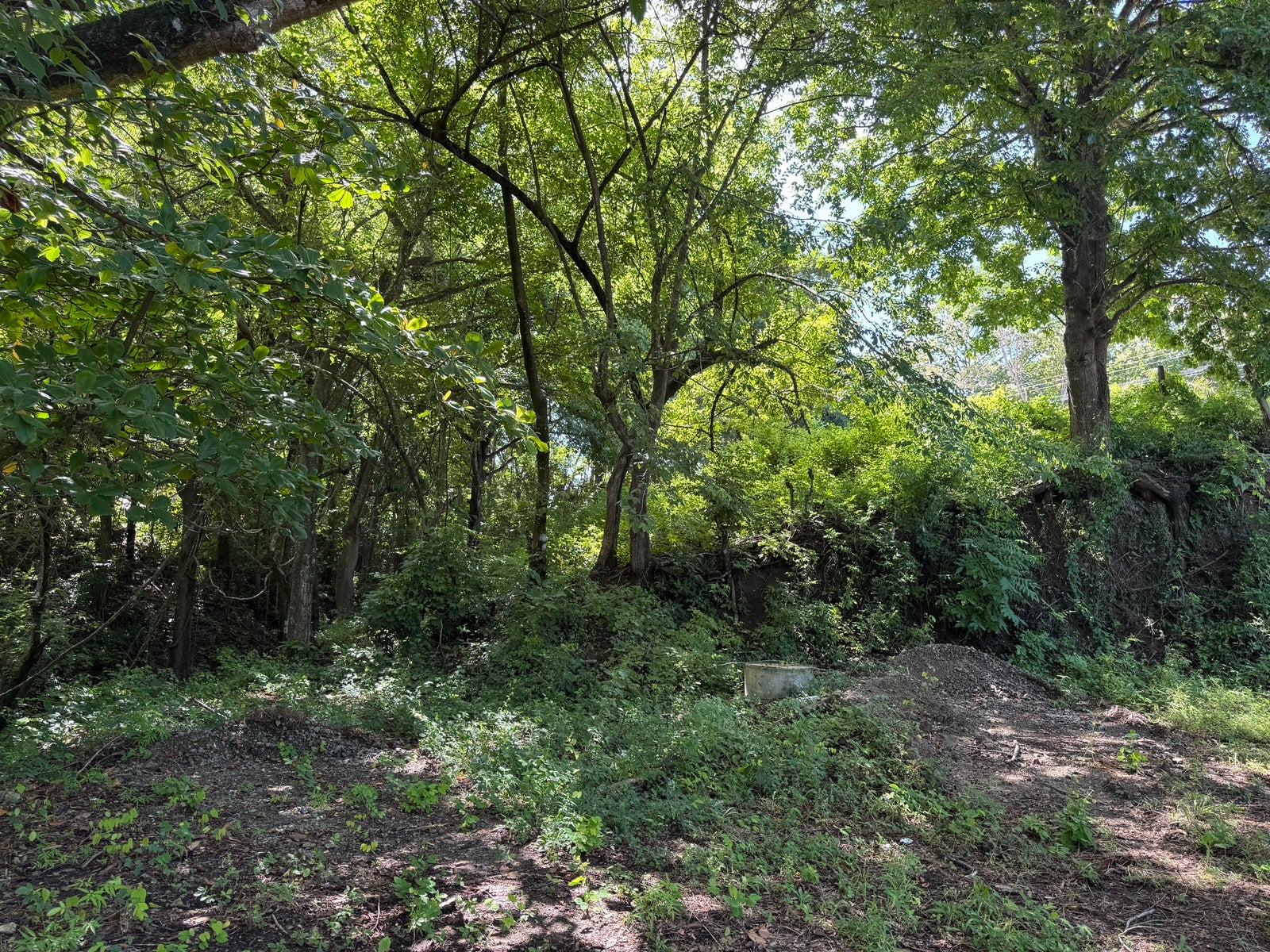 Commercial and Residential Land Close to the Beach, Santiago, Santiago, Santa Teresa, Cobano, Puntarenas, Puntarenas, Costa Rica 60111 Commercial and Residential Land Close to the Beach, Santiago, Santiago, Santa Teresa, Cobano, Puntarenas, Puntarenas, Costa Rica 60111