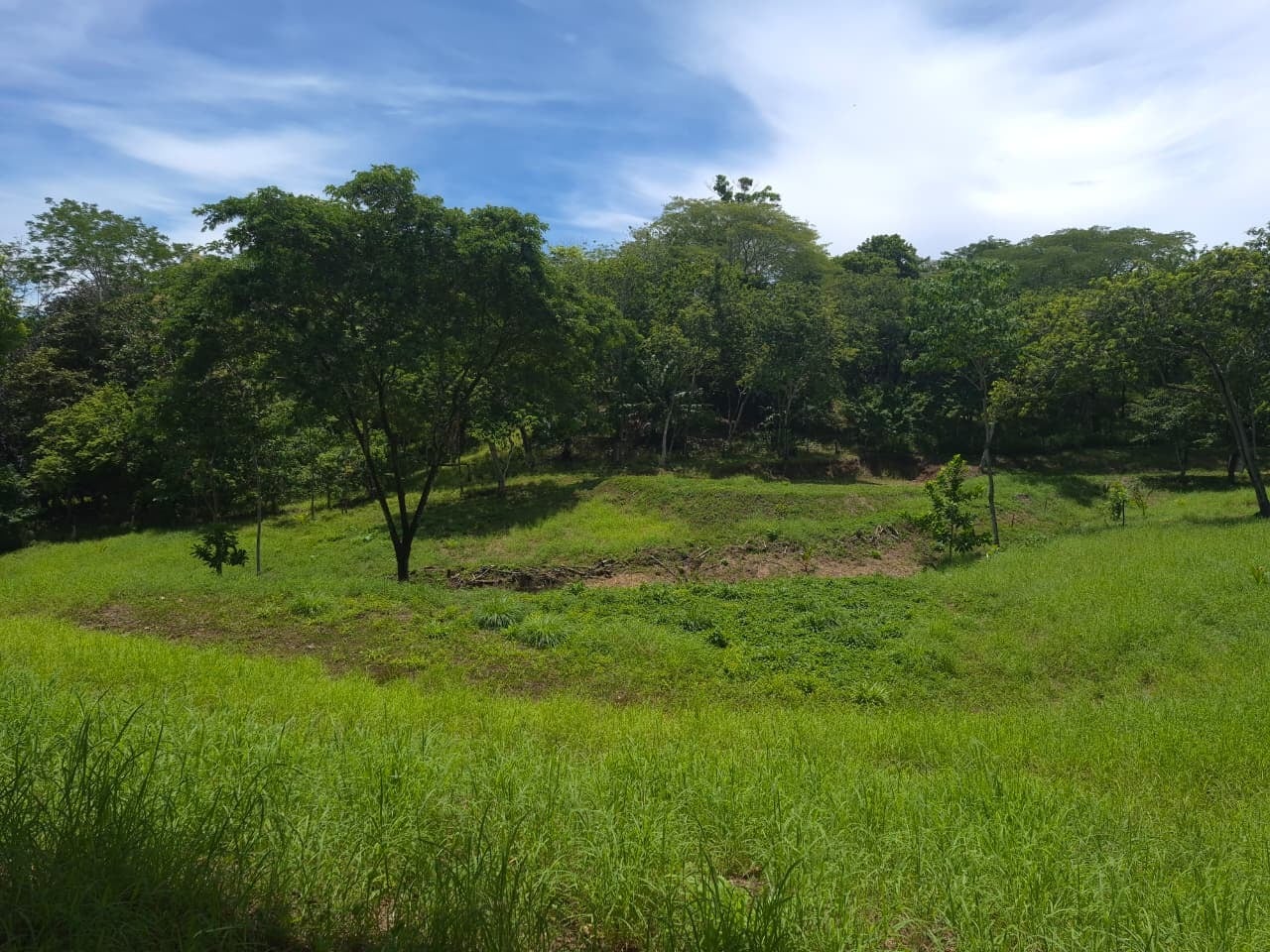 Property photo for Ready-to-build Lot with AyA water, Manzanillo, Santa Teresa, Cobano, Puntarenas, Puntarenas, Costa Rica
