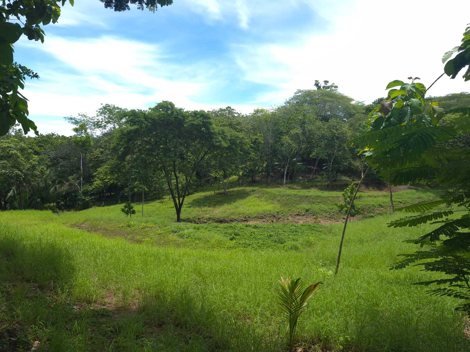 Ready-to-build Lot with AyA water, Manzanillo, Manzanillo, Santa Teresa, Cobano, Puntarenas, Puntarenas, Costa Rica 60111