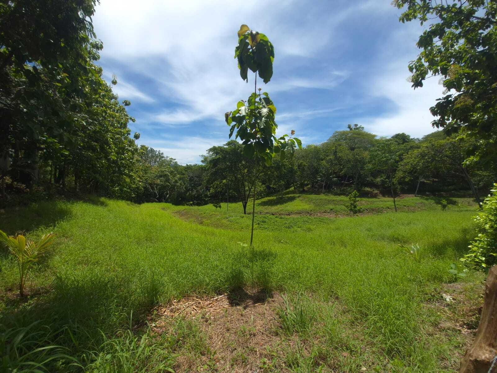 Ready-to-build Lot with AyA water, Manzanillo, Manzanillo, Santa Teresa, Cobano, Puntarenas, Puntarenas, Costa Rica 60111