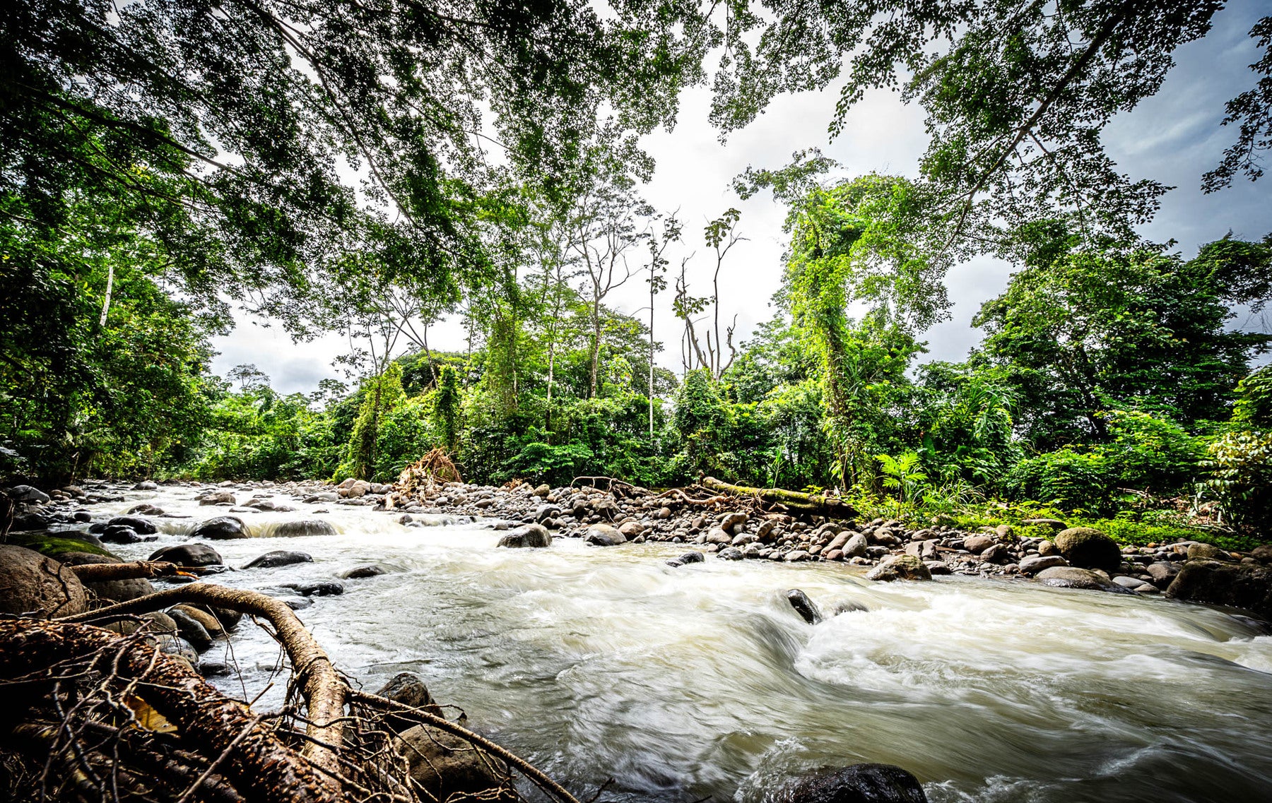 Tropical Property With Pool And Cabinas , La Fortuna, La Fortuna, Lake Arenal, San Ramon, San Carlos, Alajuela, Costa Rica 20213 Tropical Property With Pool And Cabinas , La Fortuna, La Fortuna, Lake Arenal, San Ramon, San Carlos, Alajuela, Costa Rica 20213