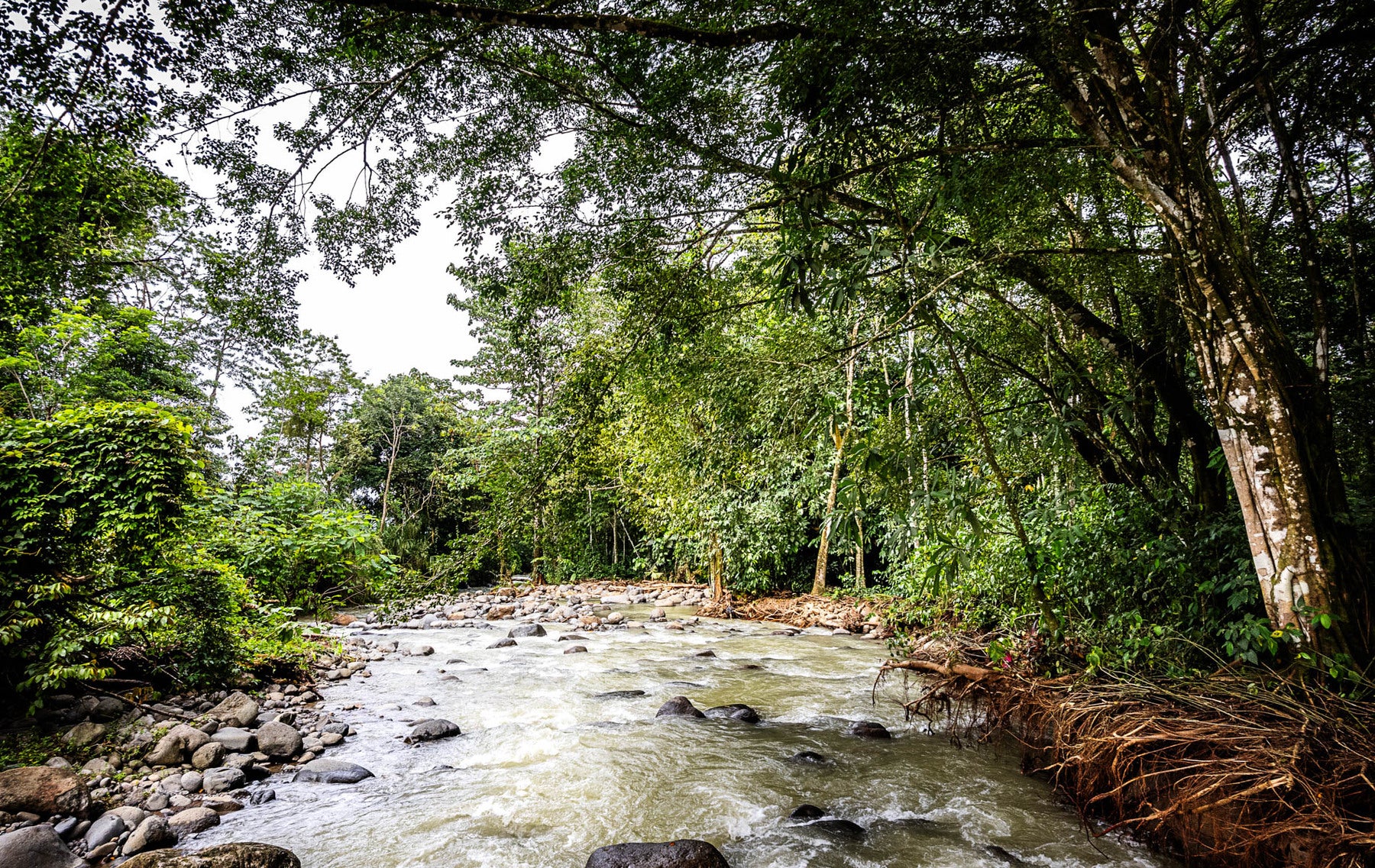 Tropical Property With Pool And Cabinas , La Fortuna, La Fortuna, Lake Arenal, San Ramon, San Carlos, Alajuela, Costa Rica 20213 Tropical Property With Pool And Cabinas , La Fortuna, La Fortuna, Lake Arenal, San Ramon, San Carlos, Alajuela, Costa Rica 20213