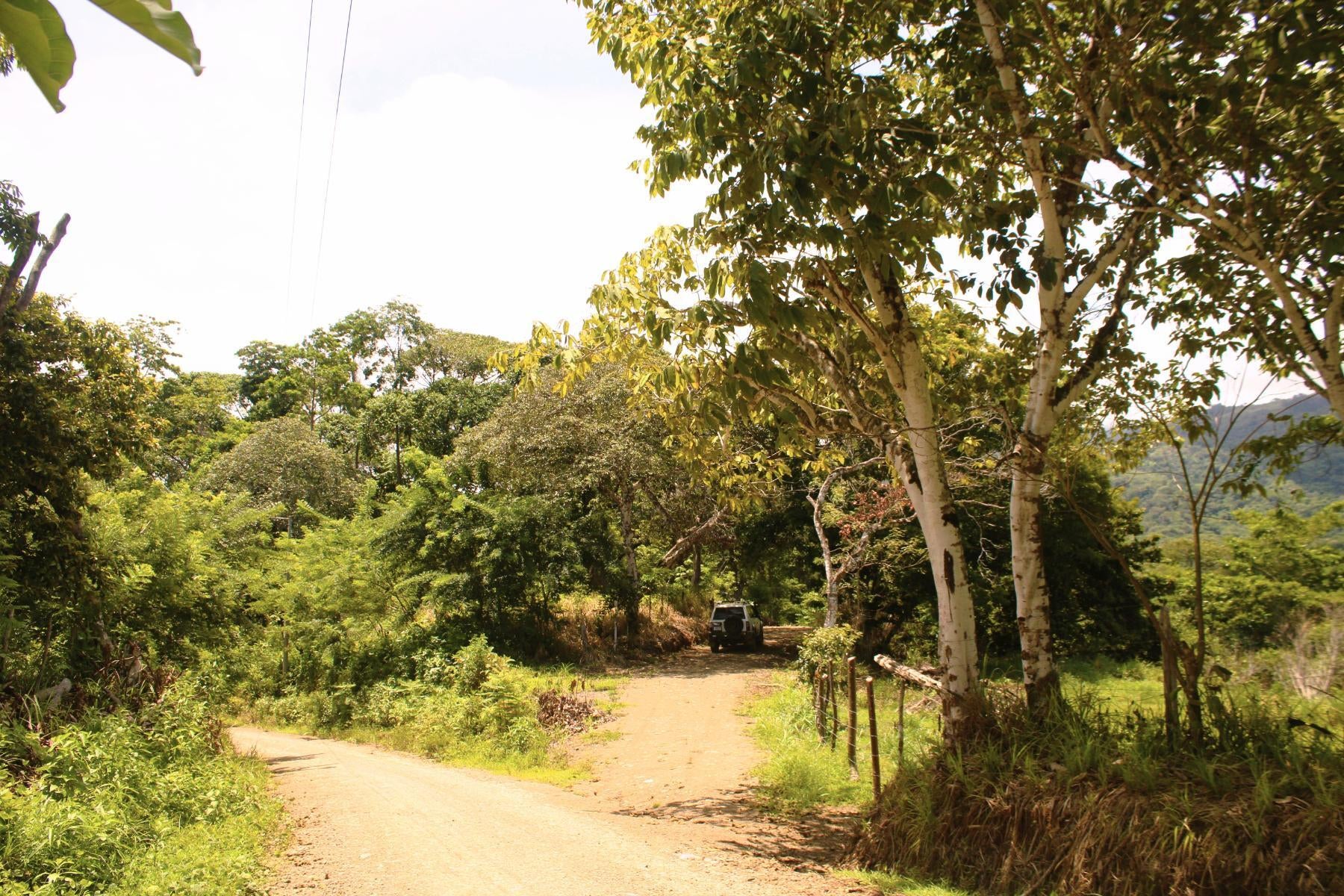 Wildlife Reserve Farm, Chontales, Chontales, Ojochal, Puerto Cortes, Osa, Puntarenas, Costa Rica 60501