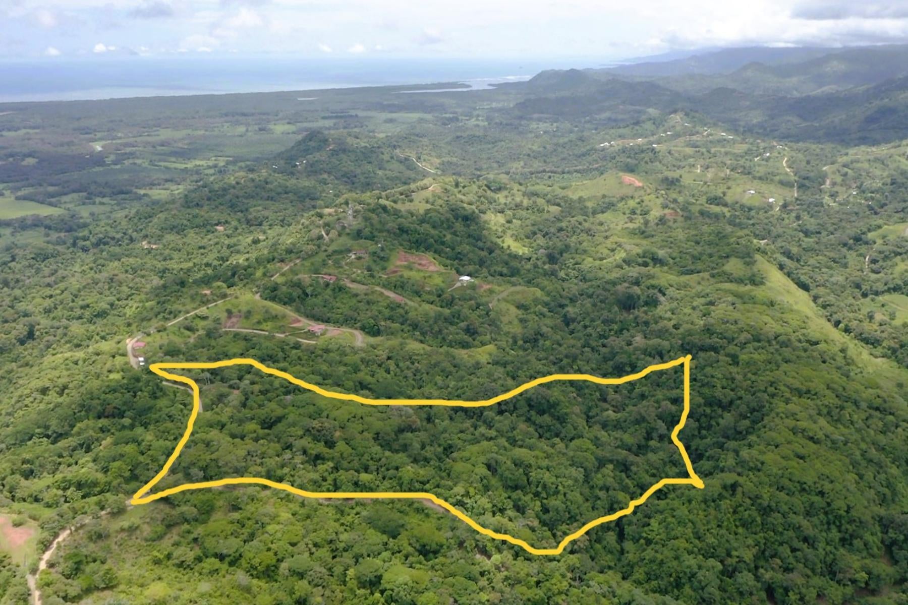 Wildlife Reserve Farm, Chontales, Chontales, Ojochal, Puerto Cortes, Osa, Puntarenas, Costa Rica 60501