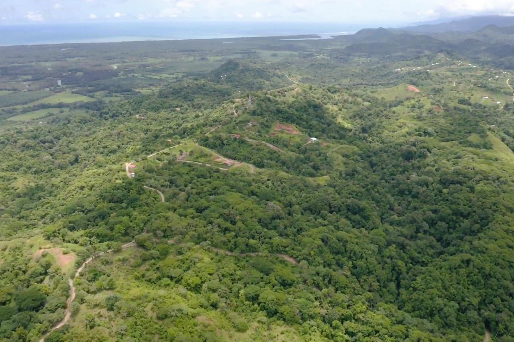 Wildlife Reserve Farm, Chontales, Chontales, Ojochal, Puerto Cortes, Osa, Puntarenas, Costa Rica 60501