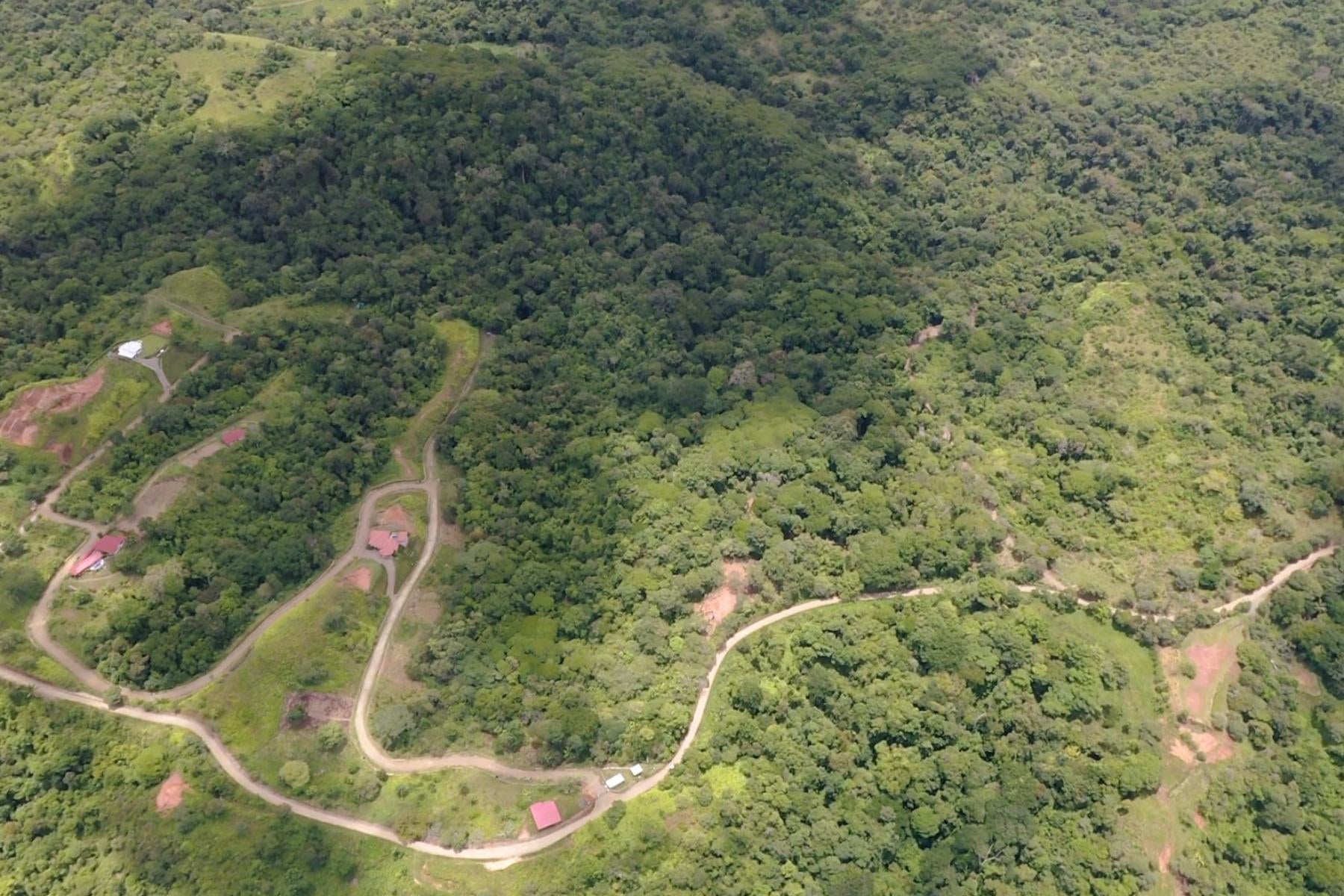 Wildlife Reserve Farm, Chontales, Chontales, Ojochal, Puerto Cortes, Osa, Puntarenas, Costa Rica 60501