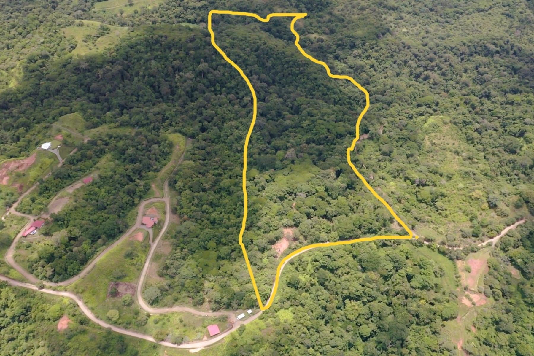 Wildlife Reserve Farm, Chontales, Chontales, Ojochal, Puerto Cortes, Osa, Puntarenas, Costa Rica 60501