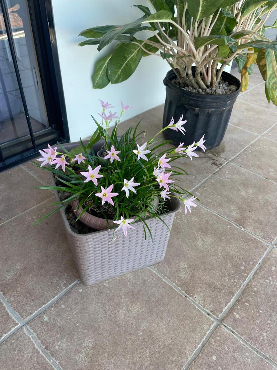 3 Bdrm Ocean View Vista Hermosa, #O-3, Playas del Coco, Playas del Coco, Papagayo, Guanacaste, Costa Rica 50503 3 Bdrm Ocean View Vista Hermosa, #O-3, Playas del Coco, Playas del Coco, Papagayo, Guanacaste, Costa Rica 50503