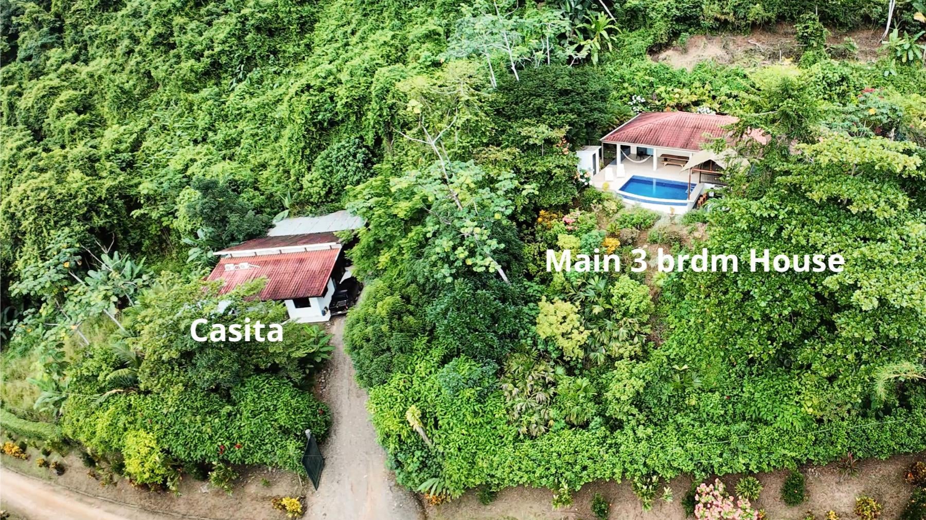Private Rainforest Retreat , Dominical, Bahia Ballena, Osa, Puntarenas, Costa Rica 60504