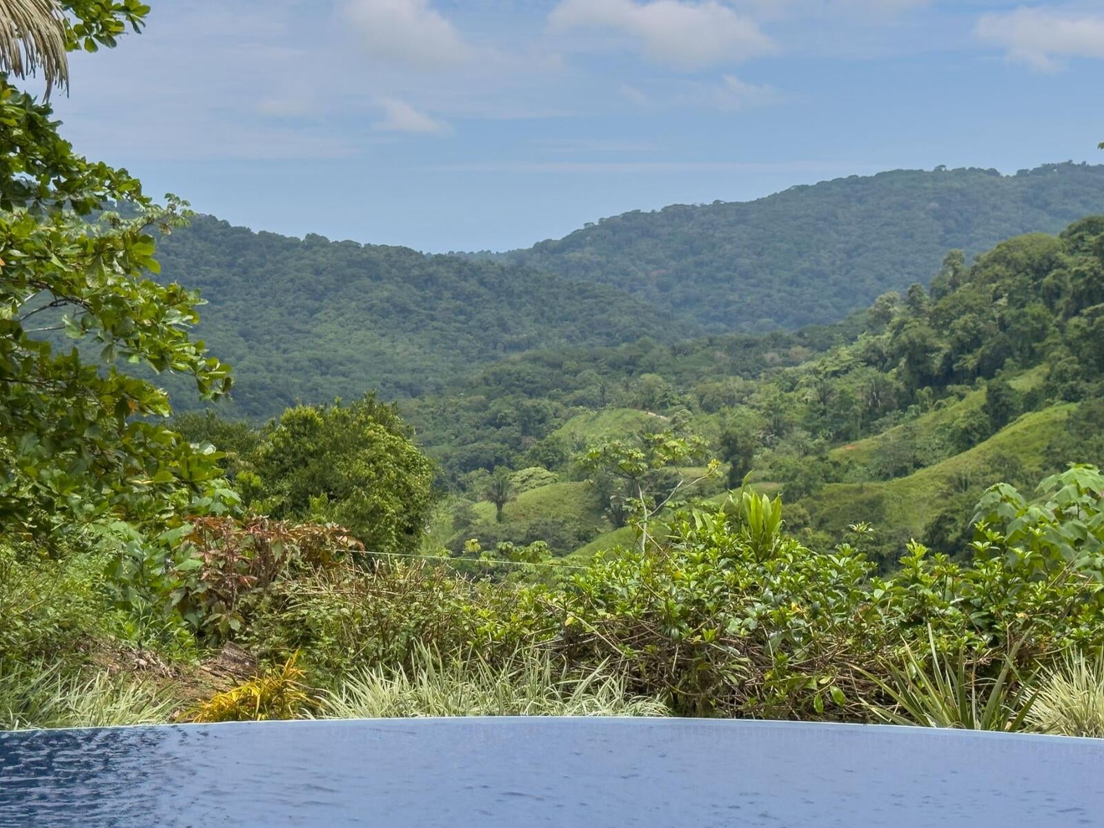 Private Rainforest Retreat , Dominical, Bahia Ballena, Osa, Puntarenas, Costa Rica 60504