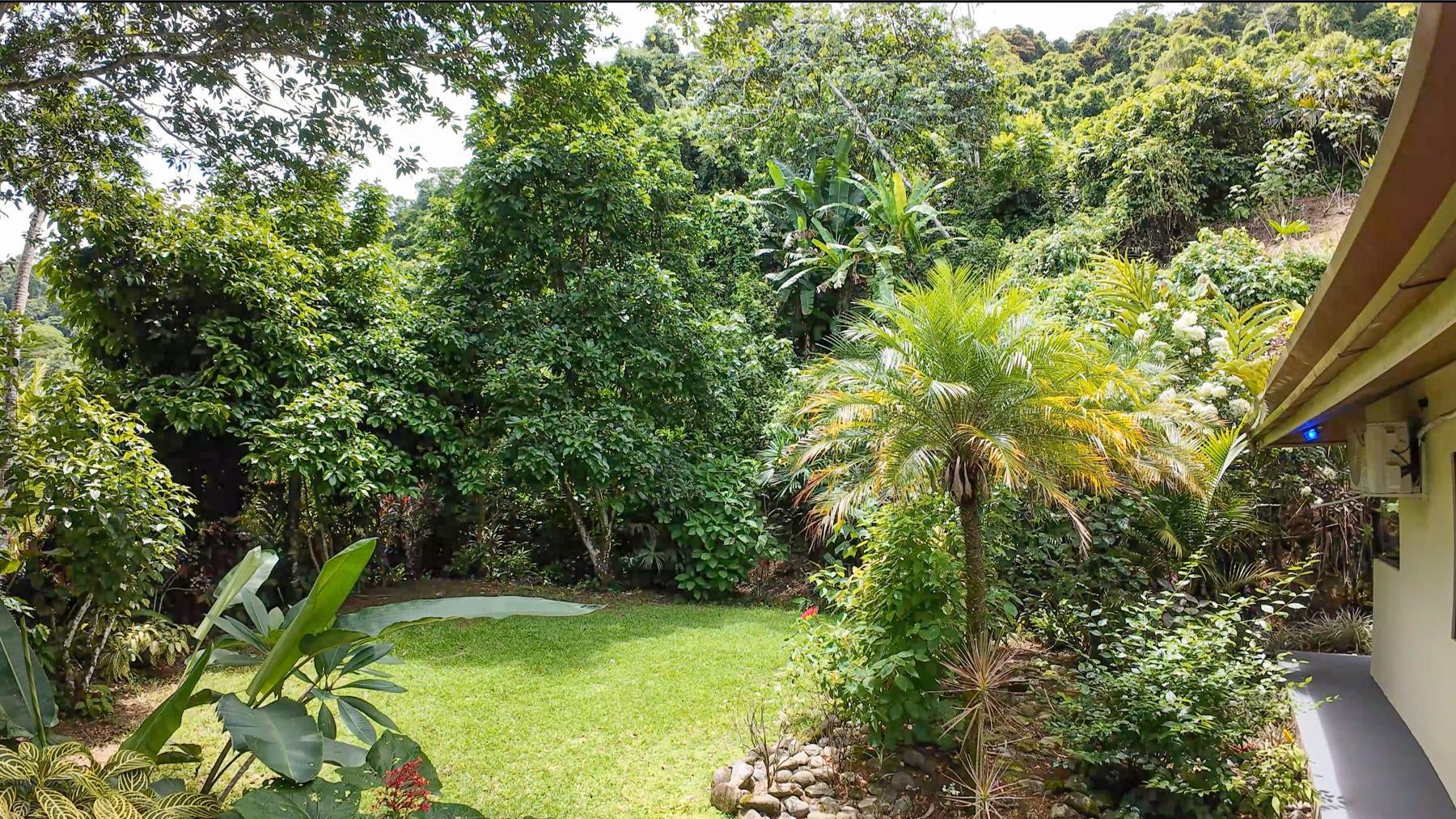 Private Rainforest Retreat , Dominical, Bahia Ballena, Osa, Puntarenas, Costa Rica 60504
