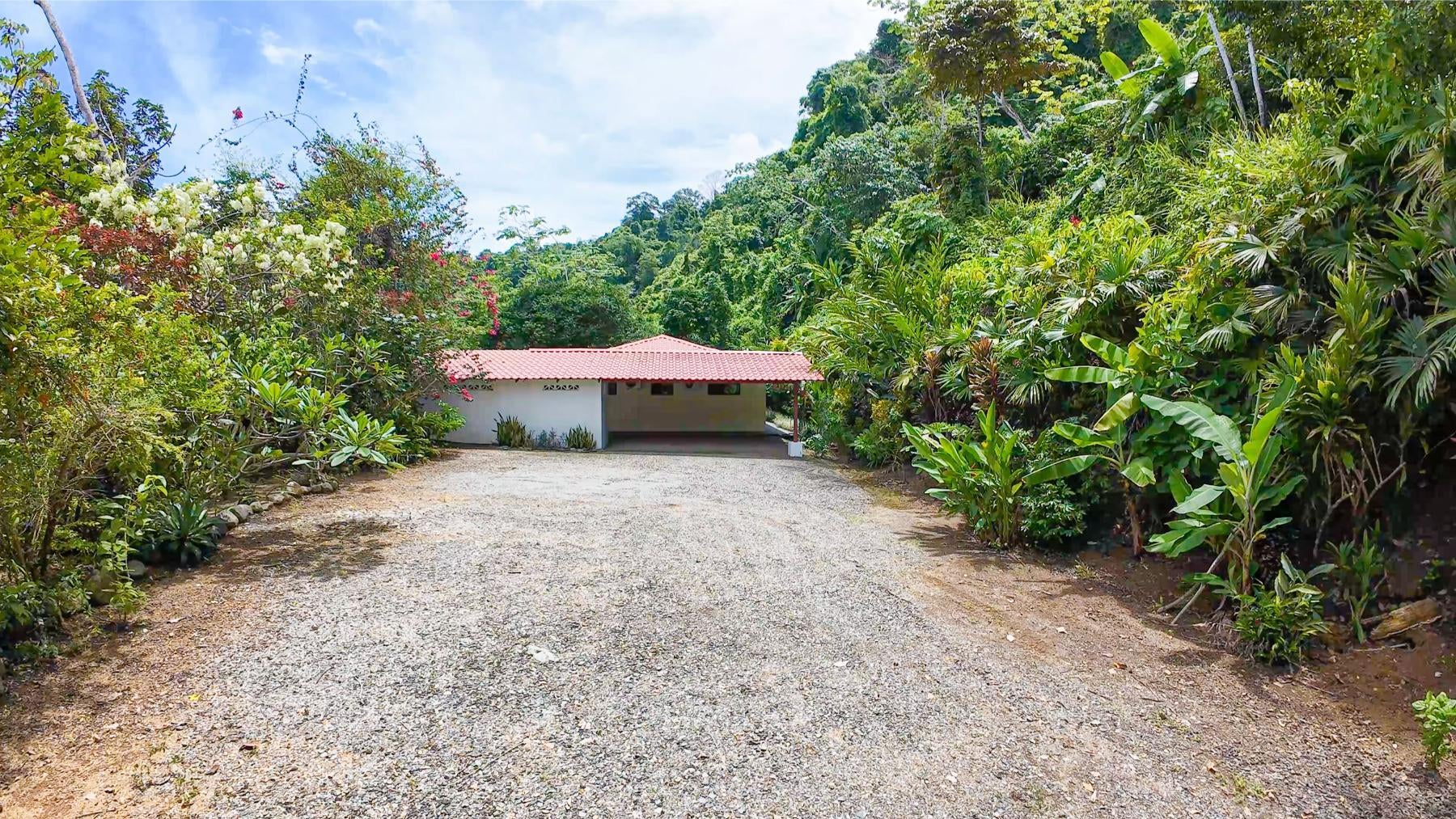 Private Rainforest Retreat , Dominical, Bahia Ballena, Osa, Puntarenas, Costa Rica 60504