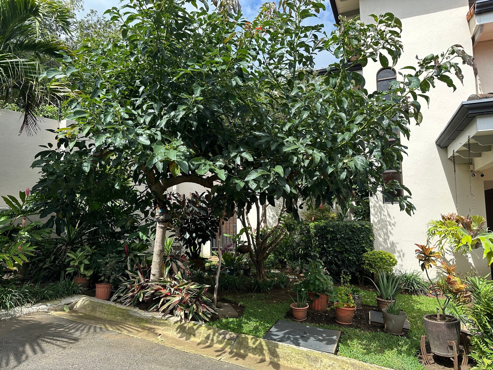 Family Home, Riveras del Monte, Escazu, San Antonio, Escazu, San Jose, Costa Rica