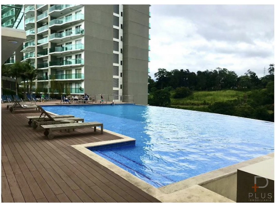 Paradisus Apartment , Condominio Paradissus, Sabana, Sabana, Sabana, San Jose, Costa Rica 10201 Paradisus Apartment , Condominio Paradissus, Sabana, Sabana, Sabana, San Jose, Costa Rica 10201