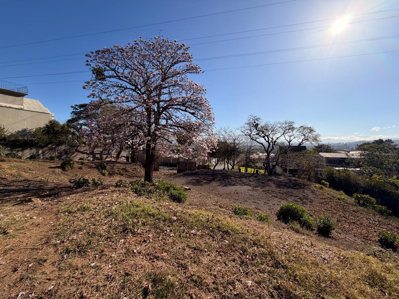 Lot in Alto Palomas, Alto De Las Palomas, Escazu, San Rafael, Escazu, San Jose, Costa Rica 10203