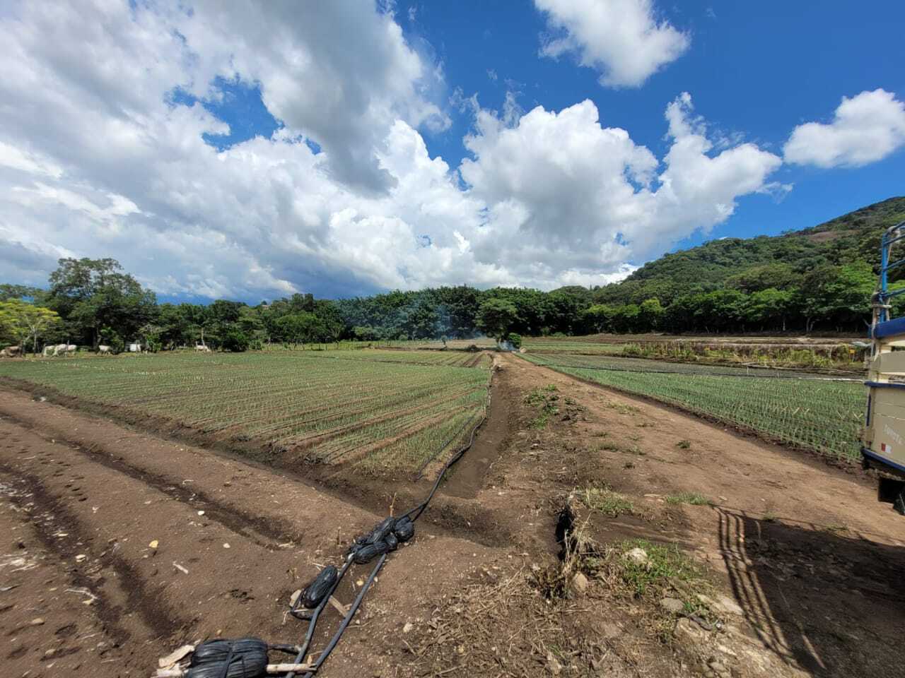 Property photo for Two Hectare Estate, Santa Ana, Salitral, Santa Ana, San Jose, Costa Rica