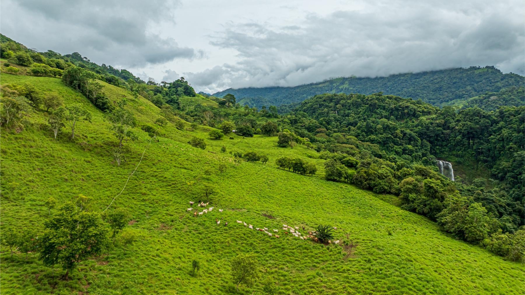 Property photo for Majestic Waterfall Estate in the Heart of the Lush Hills, Platanillo, Dominical, Baru, Perez Zeledon, Puntarenas, Costa Rica