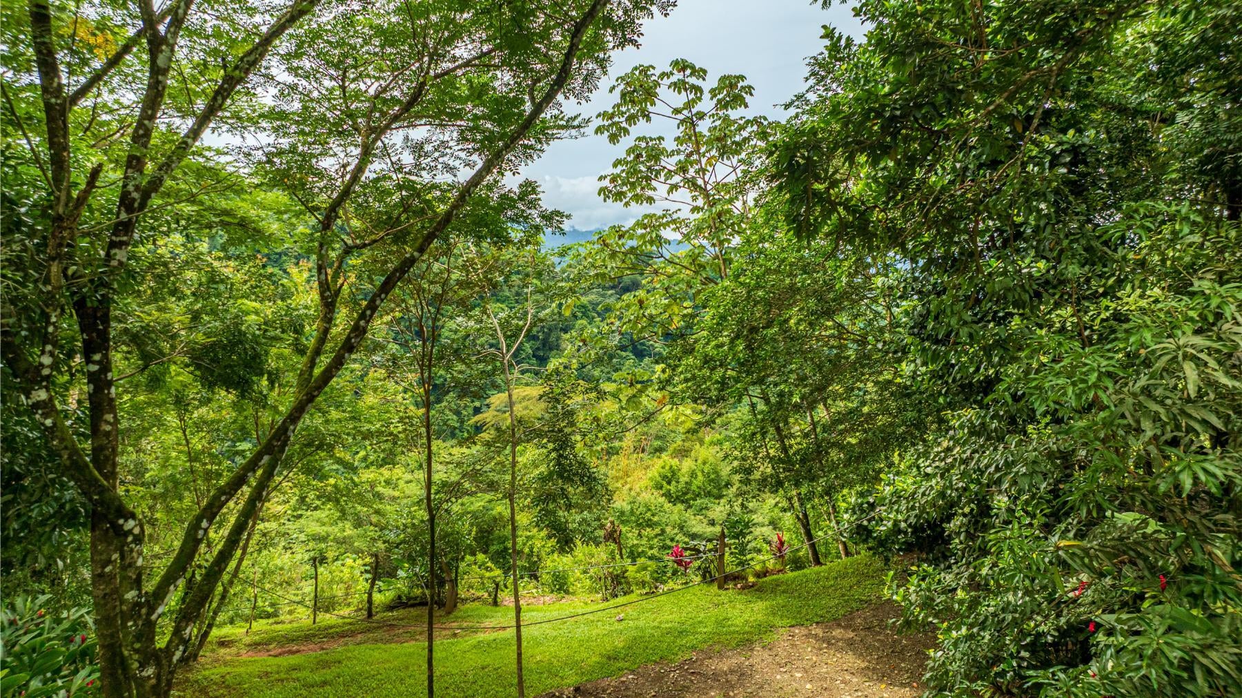 Majestic Waterfall Estate in the Heart of the Lush Hills, Platanillo, Platanillo, Dominical, Baru, Perez Zeledon, Puntarenas, Costa Rica 11909