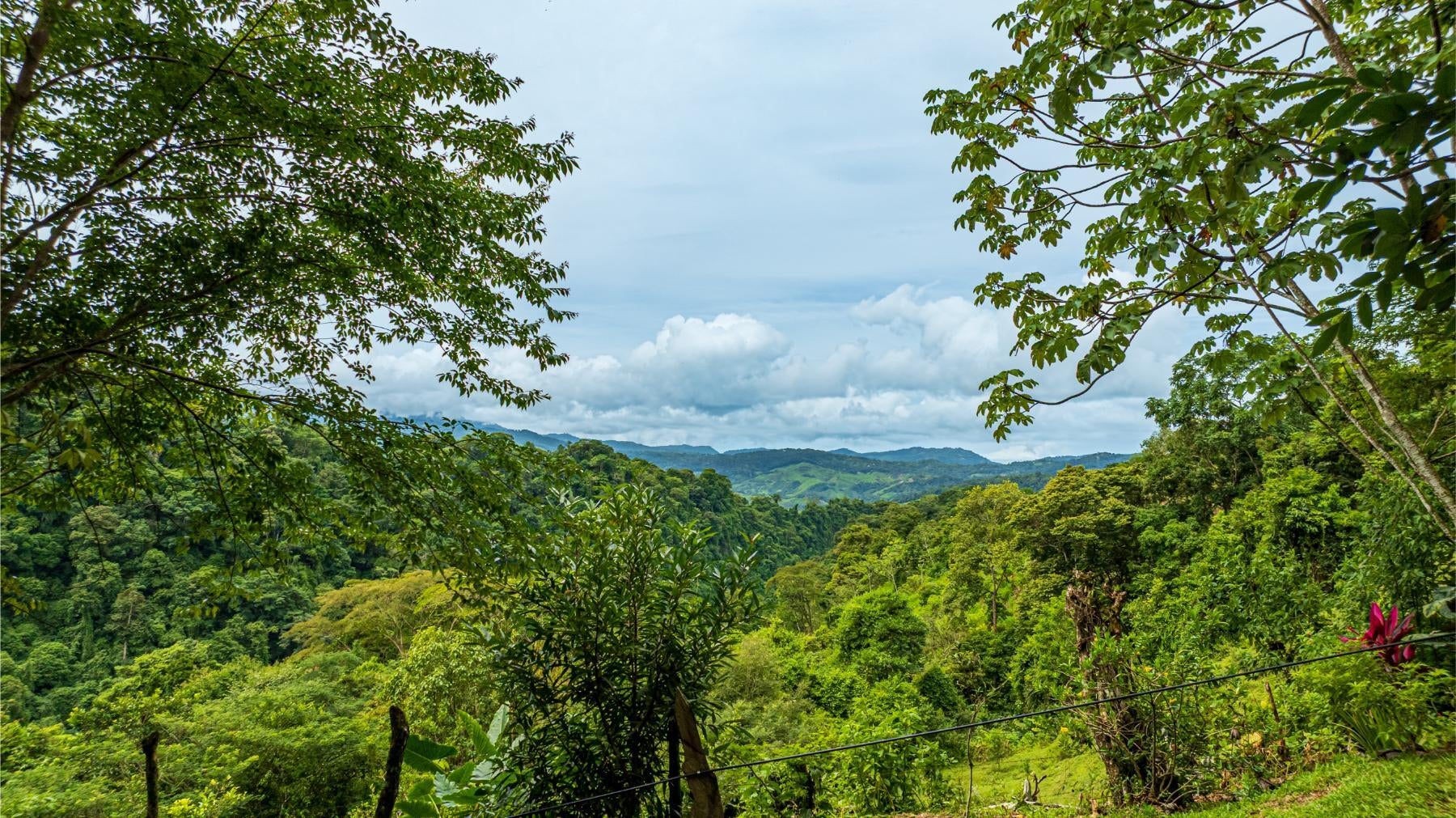 Majestic Waterfall Estate in the Heart of the Lush Hills, Platanillo, Platanillo, Dominical, Baru, Perez Zeledon, Puntarenas, Costa Rica 11909