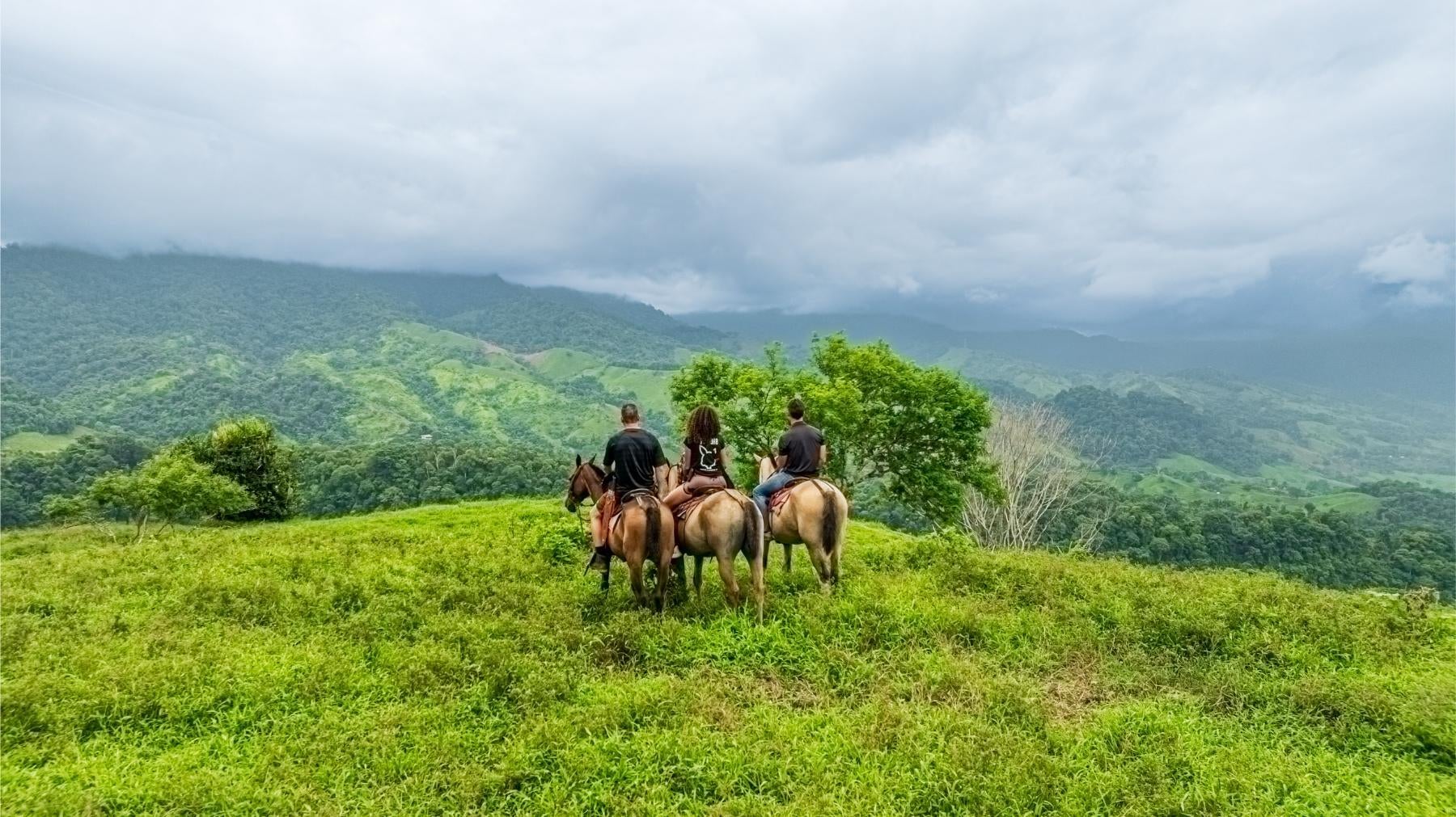 Majestic Waterfall Estate in the Heart of the Lush Hills, Platanillo, Platanillo, Dominical, Baru, Perez Zeledon, Puntarenas, Costa Rica 11909