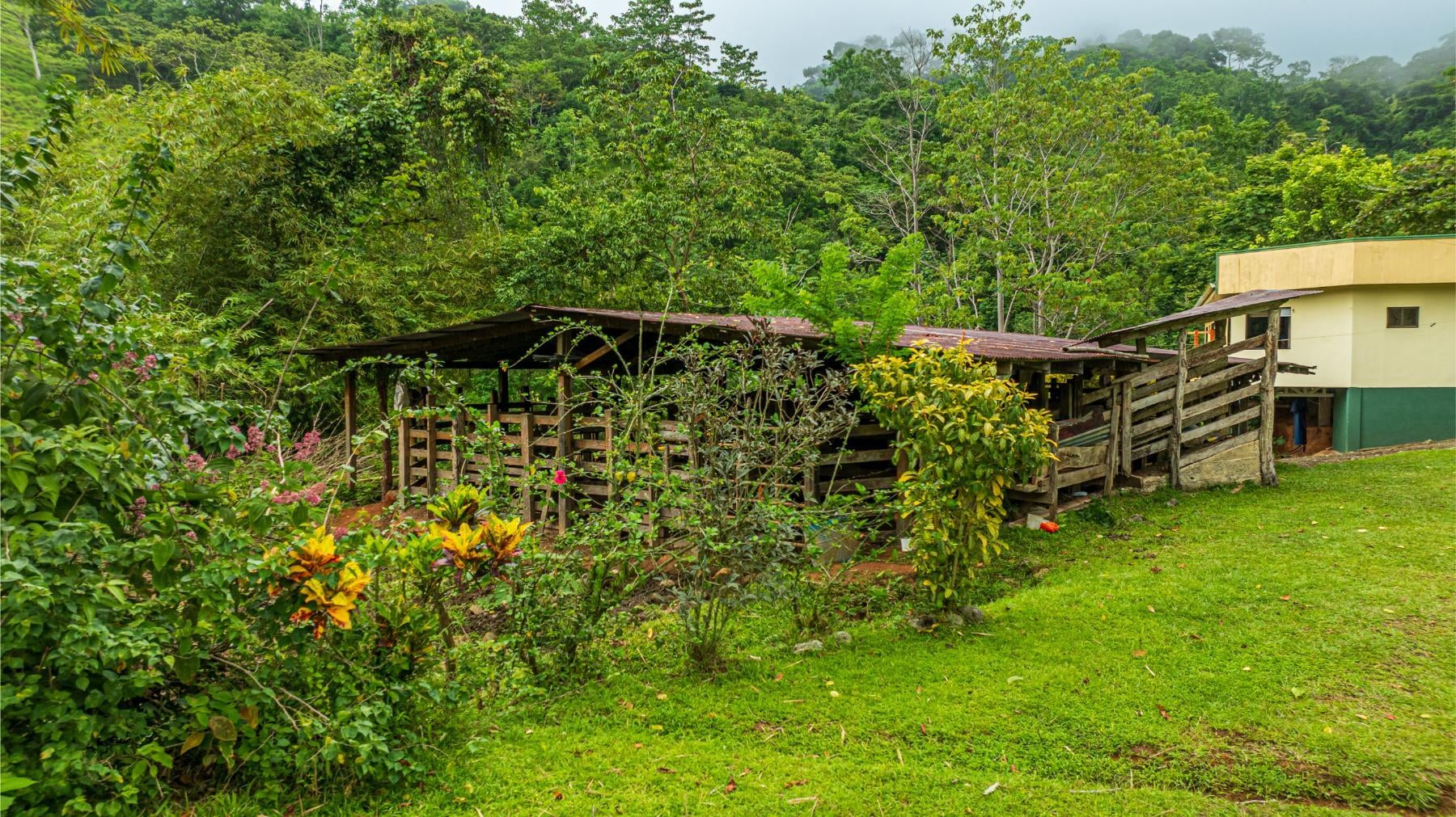 Majestic Waterfall Estate in the Heart of the Lush Hills, Platanillo, Platanillo, Dominical, Baru, Perez Zeledon, Puntarenas, Costa Rica 11909