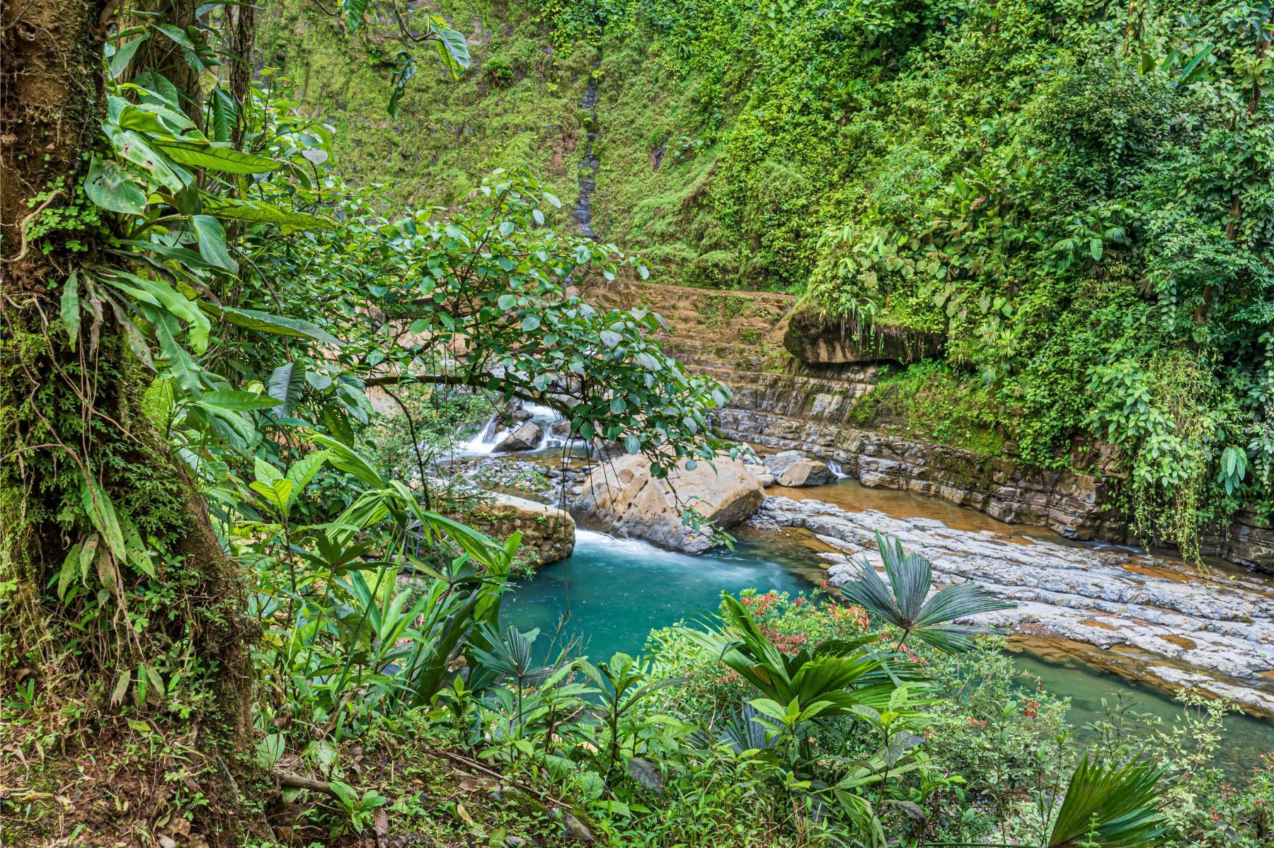 Majestic Waterfall Estate in the Heart of the Lush Hills, Platanillo, Platanillo, Dominical, Baru, Perez Zeledon, Puntarenas, Costa Rica 11909