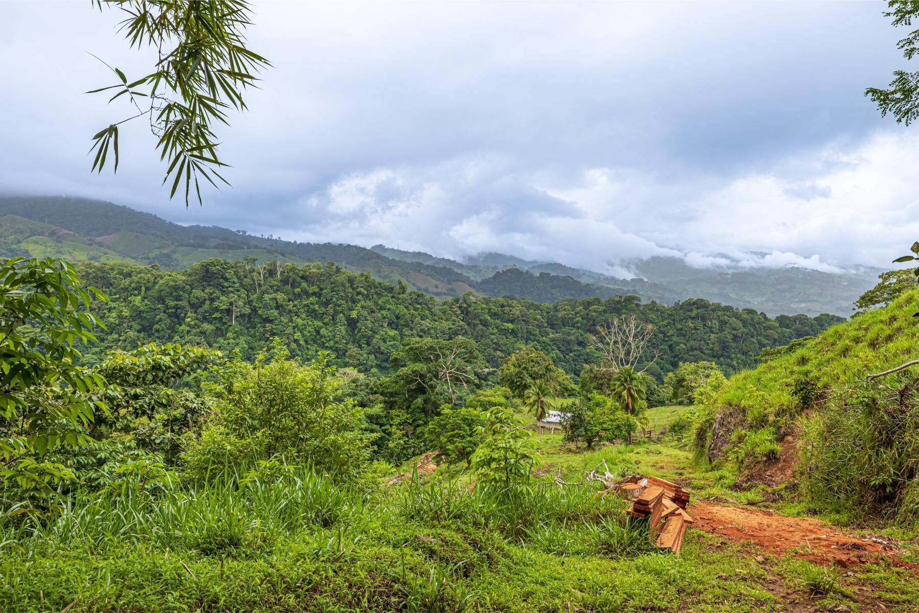 Majestic Waterfall Estate in the Heart of the Lush Hills, Platanillo, Platanillo, Dominical, Baru, Perez Zeledon, Puntarenas, Costa Rica 11909