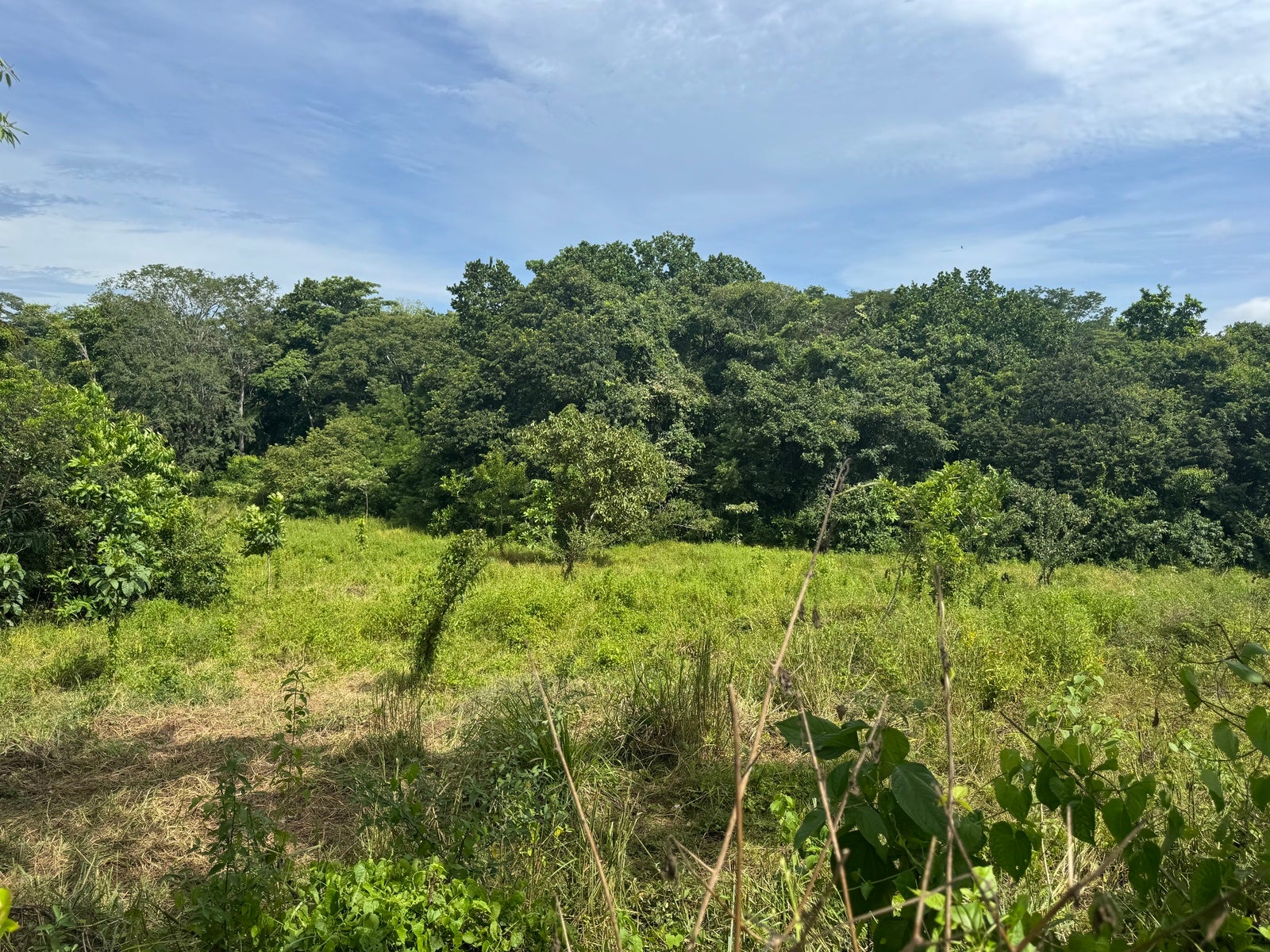 Residential Land in Quiet Neighborhood of San Isidro, San Isidro, San Isidro, Santa Teresa, Cobano, Puntarenas, Puntarenas, Costa Rica 60111 Residential Land in Quiet Neighborhood of San Isidro, San Isidro, San Isidro, Santa Teresa, Cobano, Puntarenas, Puntarenas, Costa Rica 60111