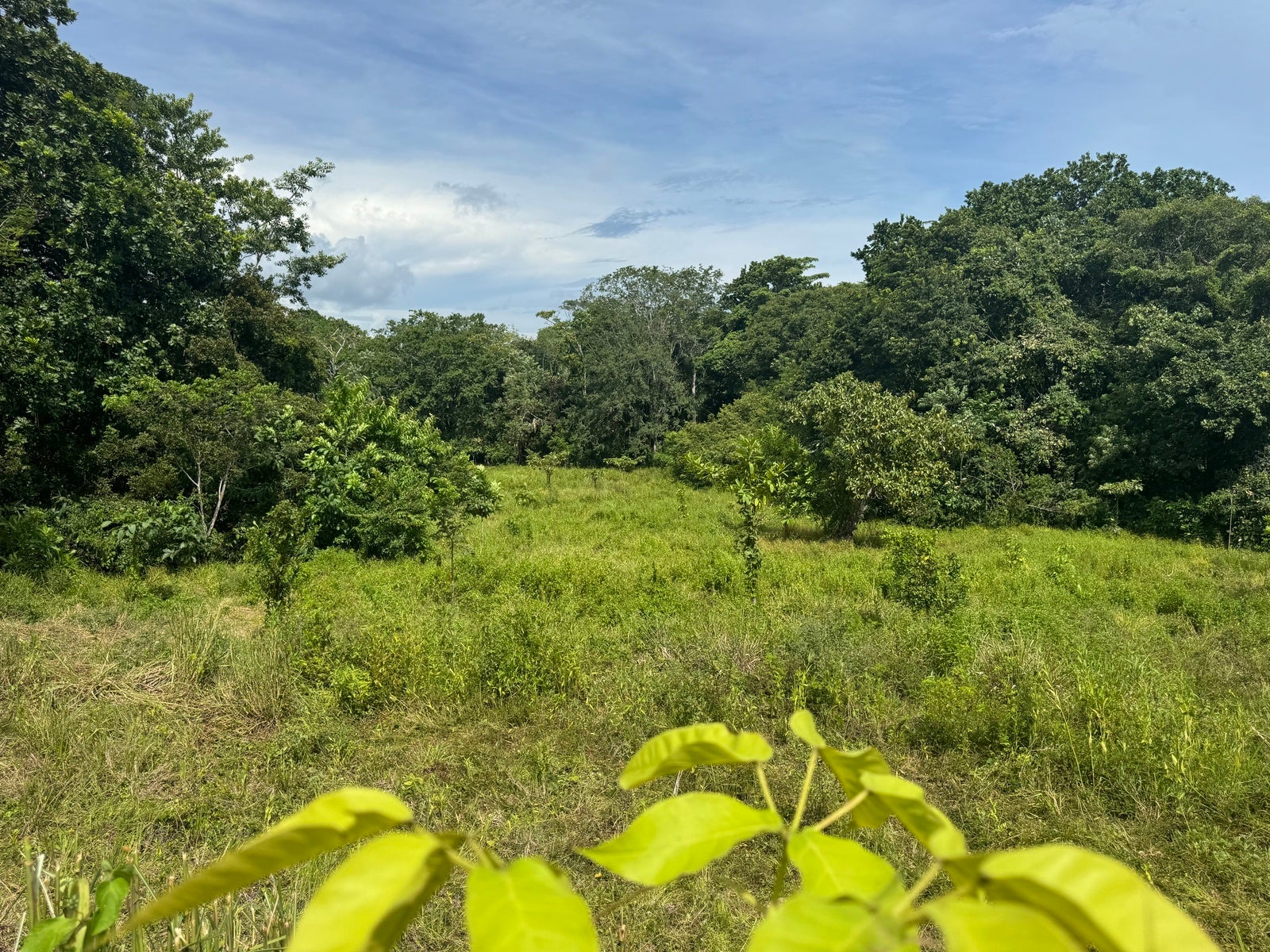 Residential Land in Quiet Neighborhood of San Isidro, San Isidro, San Isidro, Santa Teresa, Cobano, Puntarenas, Puntarenas, Costa Rica 60111 Residential Land in Quiet Neighborhood of San Isidro, San Isidro, San Isidro, Santa Teresa, Cobano, Puntarenas, Puntarenas, Costa Rica 60111