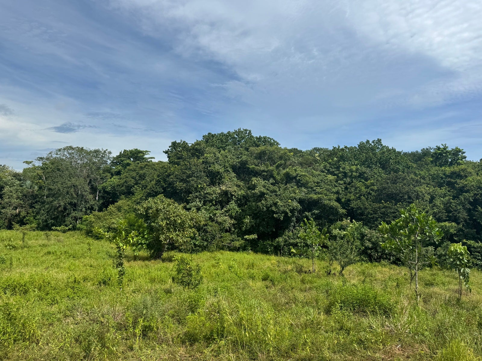 Residential Land in Quiet Neighborhood of San Isidro, San Isidro, San Isidro, Santa Teresa, Cobano, Puntarenas, Puntarenas, Costa Rica 60111 Residential Land in Quiet Neighborhood of San Isidro, San Isidro, San Isidro, Santa Teresa, Cobano, Puntarenas, Puntarenas, Costa Rica 60111