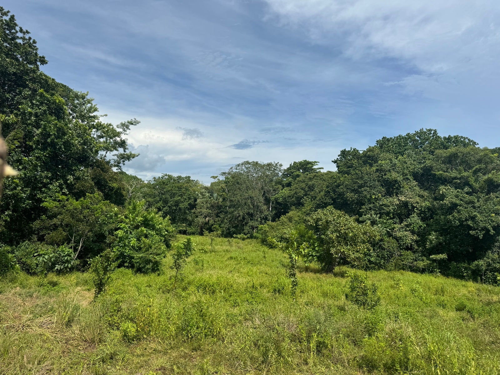Residential Land in Quiet Neighborhood of San Isidro, San Isidro, San Isidro, Santa Teresa, Cobano, Puntarenas, Puntarenas, Costa Rica 60111 Residential Land in Quiet Neighborhood of San Isidro, San Isidro, San Isidro, Santa Teresa, Cobano, Puntarenas, Puntarenas, Costa Rica 60111