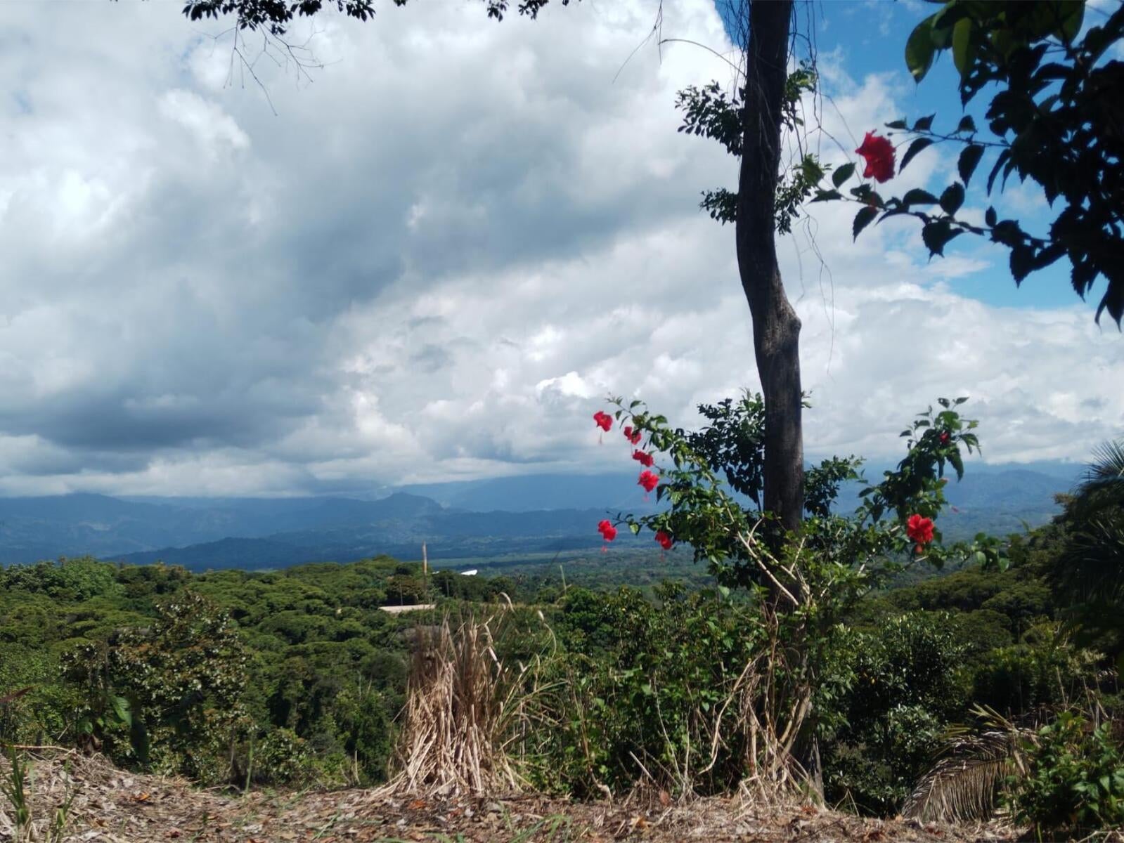 Building Lot, Manuel Antonio, Quepos, Quepos, Puntarenas, Costa Rica 60601