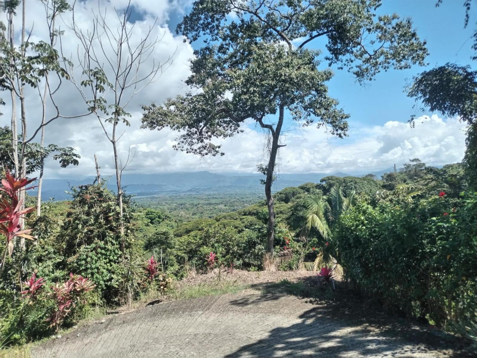 Building Lot, Manuel Antonio, Quepos, Quepos, Puntarenas, Costa Rica 60601