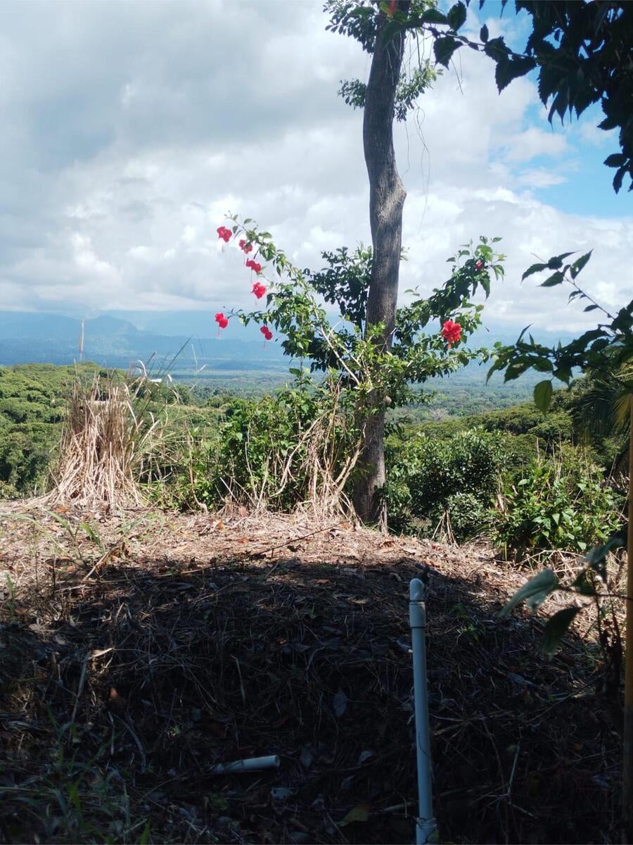 Building Lot, Manuel Antonio, Quepos, Quepos, Puntarenas, Costa Rica 60601