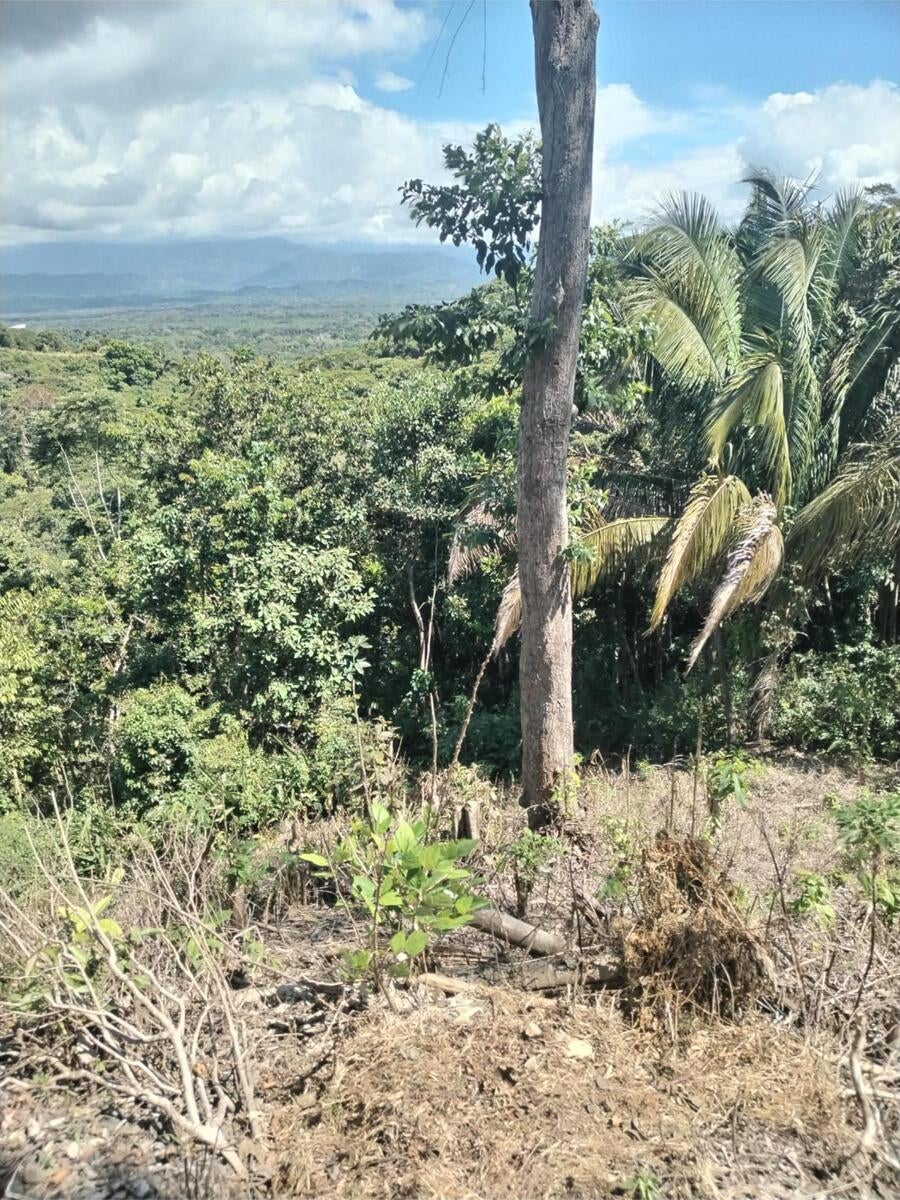 Building Lot, Manuel Antonio, Quepos, Quepos, Puntarenas, Costa Rica 60601