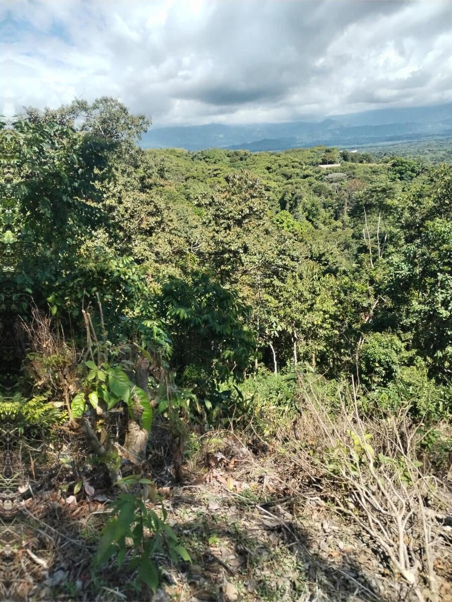 Building Lot, Manuel Antonio, Quepos, Quepos, Puntarenas, Costa Rica 60601