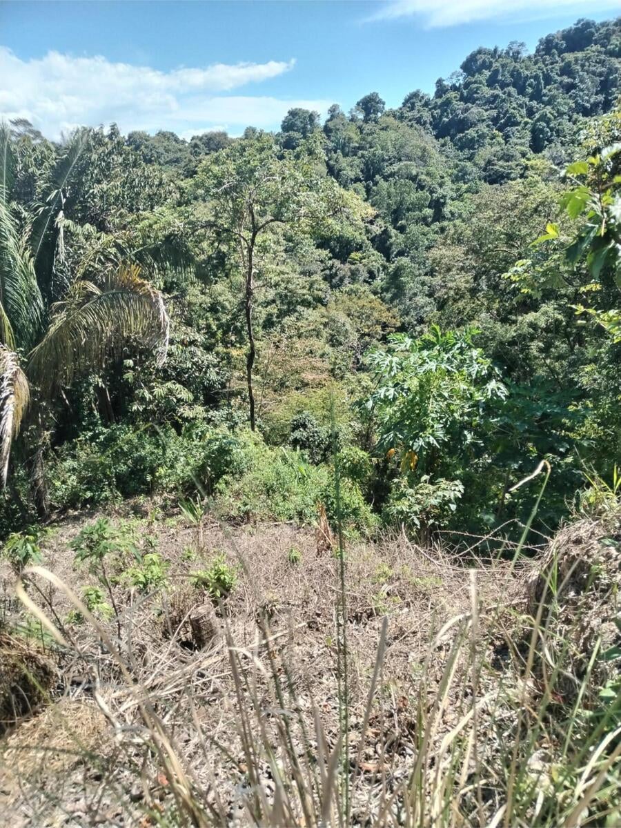 Building Lot, Manuel Antonio, Quepos, Quepos, Puntarenas, Costa Rica 60601