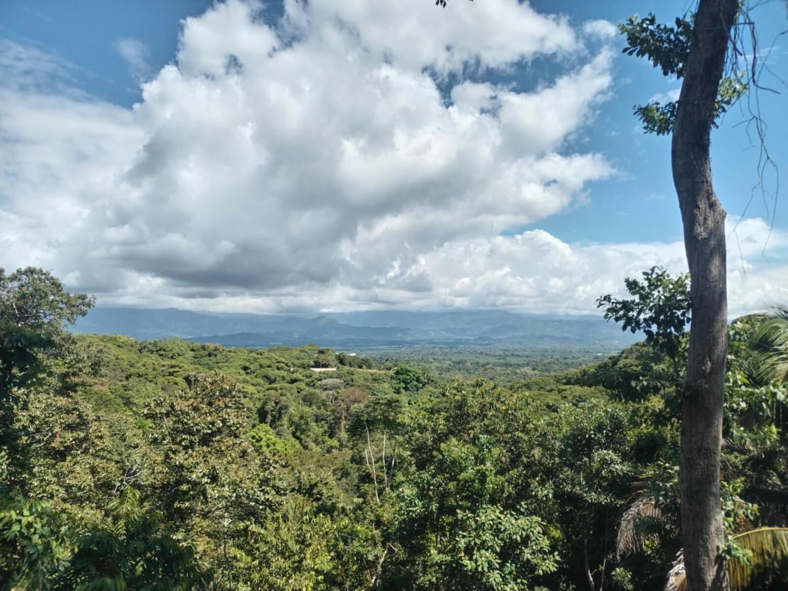 Building Lot, Manuel Antonio, Quepos, Quepos, Puntarenas, Costa Rica 60601