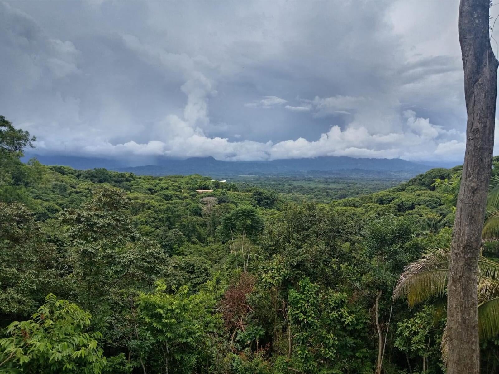 Building Lot, Manuel Antonio, Quepos, Quepos, Puntarenas, Costa Rica 60601