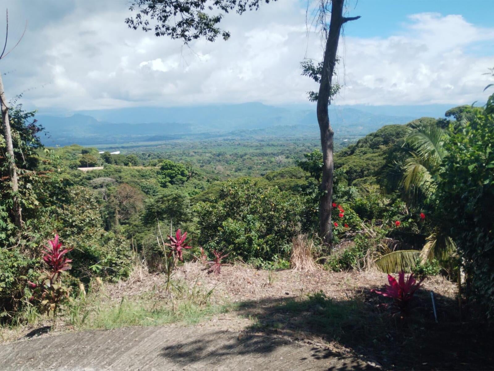 Building Lot, Manuel Antonio, Quepos, Quepos, Puntarenas, Costa Rica 60601