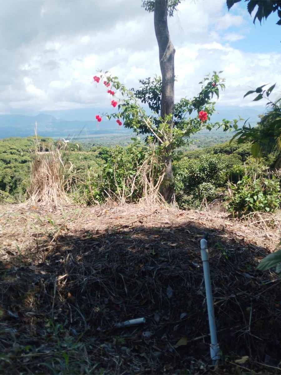 Building Lot, Manuel Antonio, Quepos, Quepos, Puntarenas, Costa Rica 60601