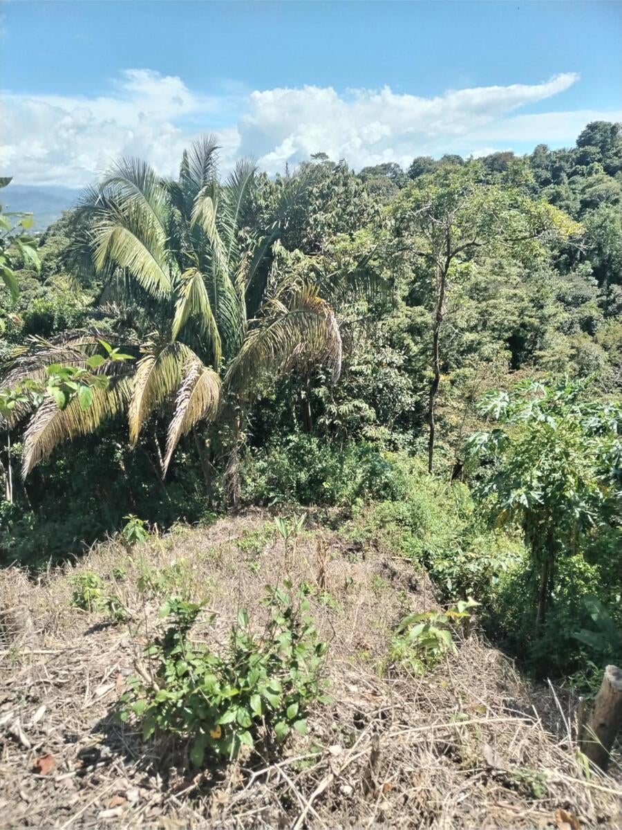 Building Lot, Manuel Antonio, Quepos, Quepos, Puntarenas, Costa Rica 60601