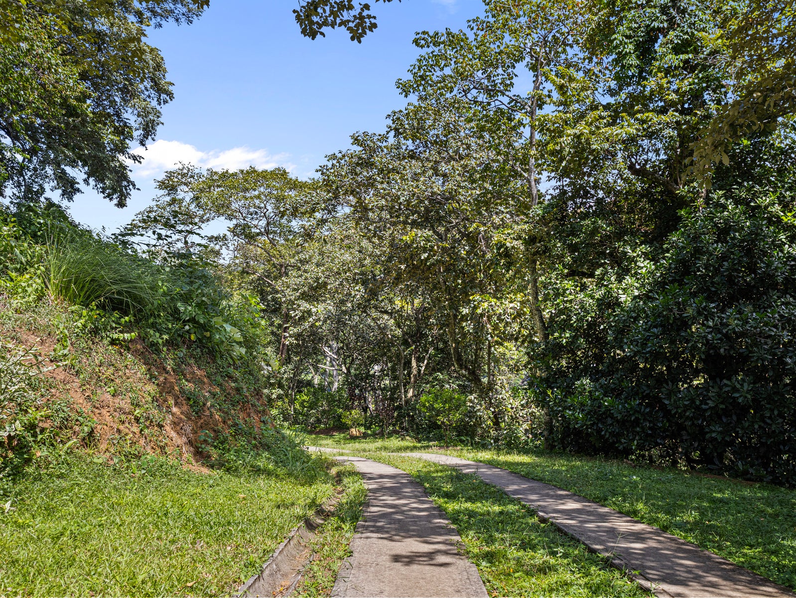 Tropical Farm Estate, Ciudad Colon, San Jose, Costa Rica 10701