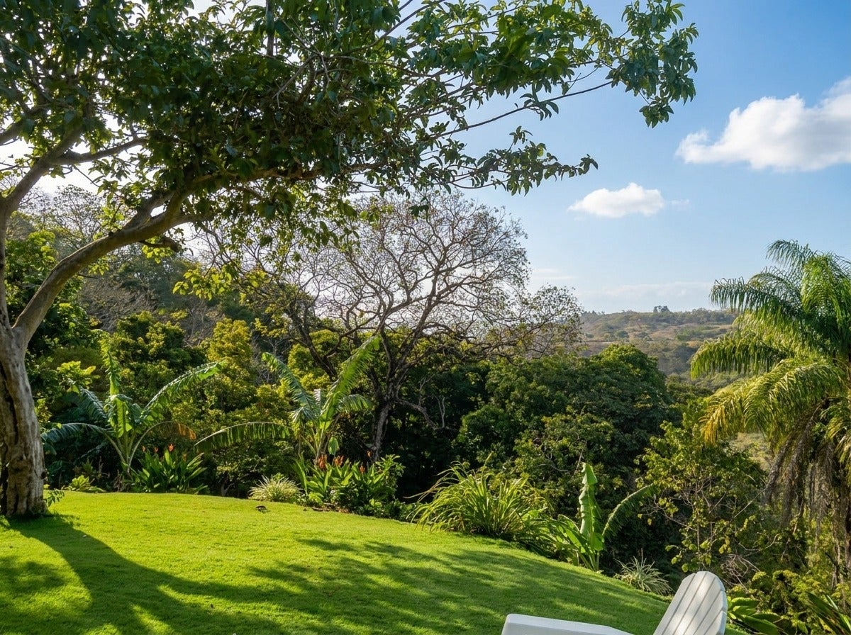 Tropical Farm Estate, Ciudad Colon, San Jose, Costa Rica 10701