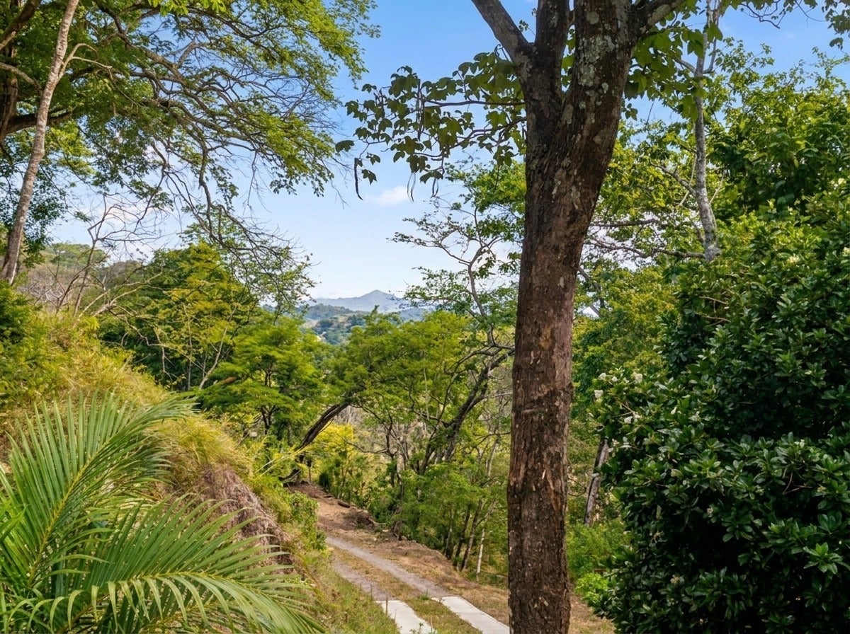 Tropical Farm Estate, Ciudad Colon, San Jose, Costa Rica 10701